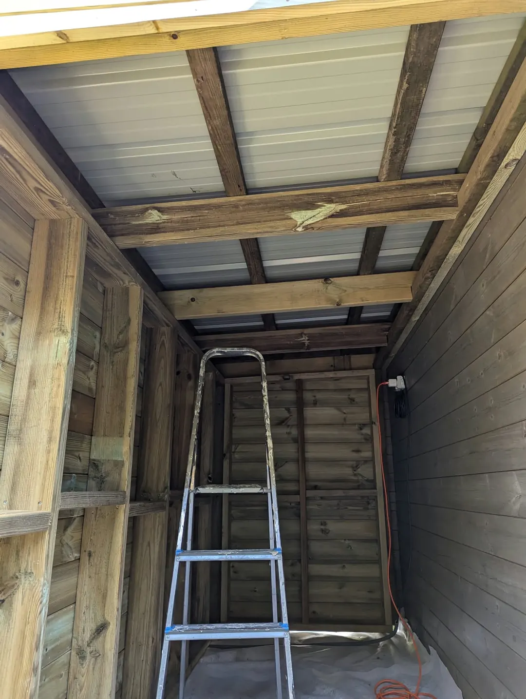 Intérieur d'un abri en bois : ossature, bardage et couverture en tôle, escabeau au fond.